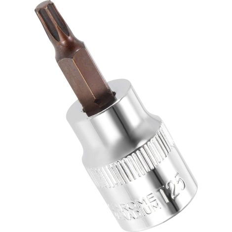 Douille Torx 3/8" x T25, embouts en acier S2, embout Torx avec longueur de 49 mm pour réparation de voiture, camion (1/5)