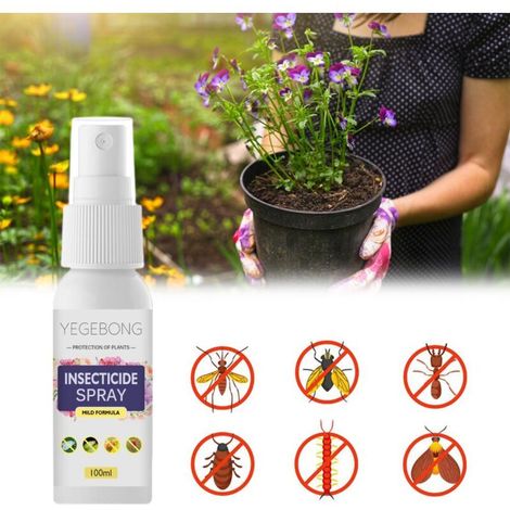 Insecticide pour Plantes d'Intérieur - Traitement Anti-Araignées et Insectes