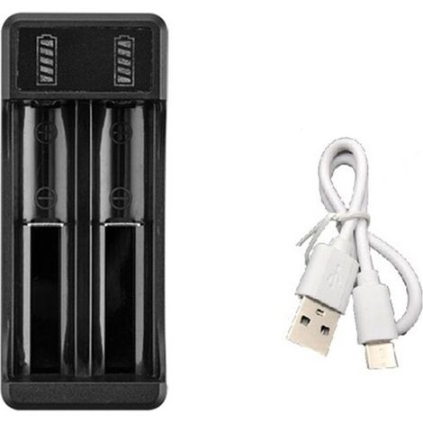 Caricabatterie rapido 18650 con cavo Type-C, caricabatterie intelligente al litio da 4,2 V per batterie 14500, 26650 e 18650, 2 slot