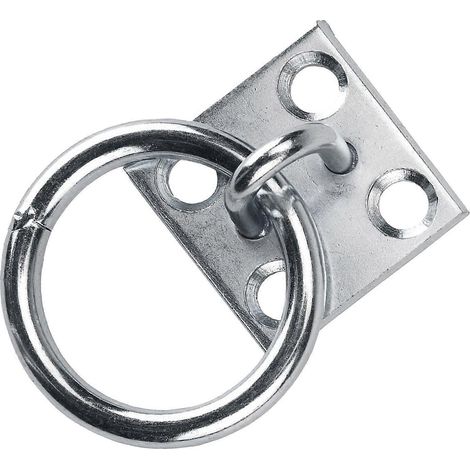 Anneau d'attache en métal antirouille pour box et écurie. (1/3)
