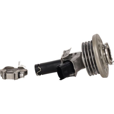 Inyector FAP/DPF rápido FT13115 (1/5)