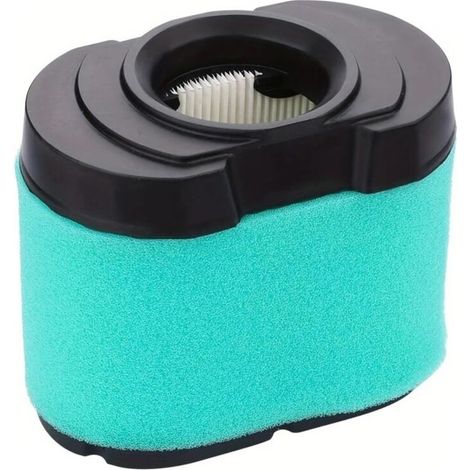 Filtro De Aire - Capa Doble Espuma Y Papel Plegado - Para Cortacésped Y Herramientas Motorizadas - 1 Unidad (1/2)
