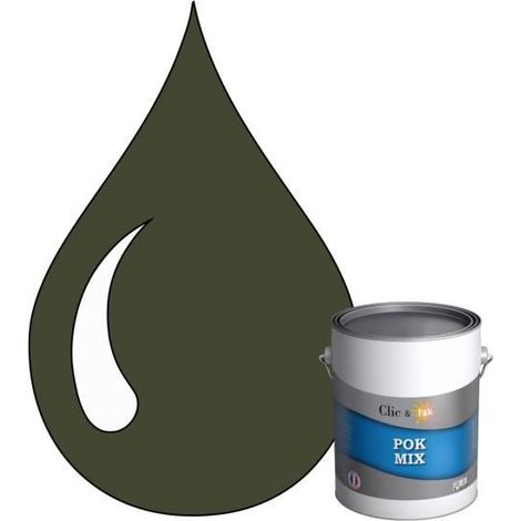 Peinture d'Accroche et Finition 2 en 1 - POK - RAL 6003 - Vert Olive - Satiné - 1L (1/4)