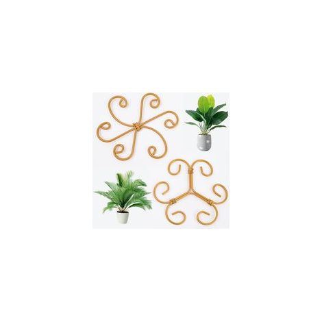 tuteurs pour Monstera  Support stable pour la tige  Accessoires de jardinage d'intérieur pour une croissance saine (1/5)