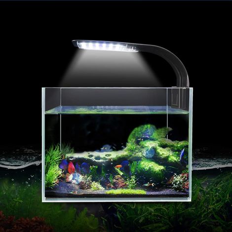 Lampe LED pour aquarium, modèle X5, 10W, 24 diodes, clip réglable, pour poissons et plantes aquatiques.-AquaForge (1/3)