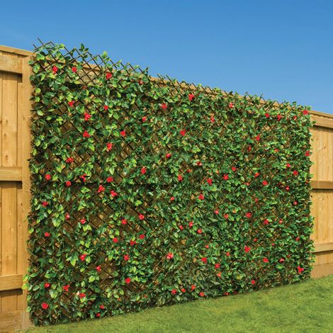 Trellis With Red Flowers (1m x 2m) (1/5)