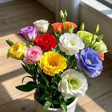 500 graines de lisianthus à pétales généreux, assortiment de couleurs, facile à cultiver, parfait pour jardins, terrasses, balcons, offre botanique (1/5)