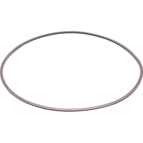 Anillo soporte ZF 0501335265 (1/2)