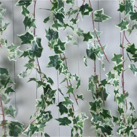 Lot de 2 guirlandes de lierre artificiel 1,8 m – Résistant aux UV, décoration murale, intérieur et extérieur, feuilles vert-blanc (1/4)