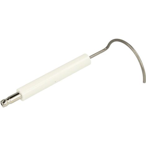 Electrode d'ionisation