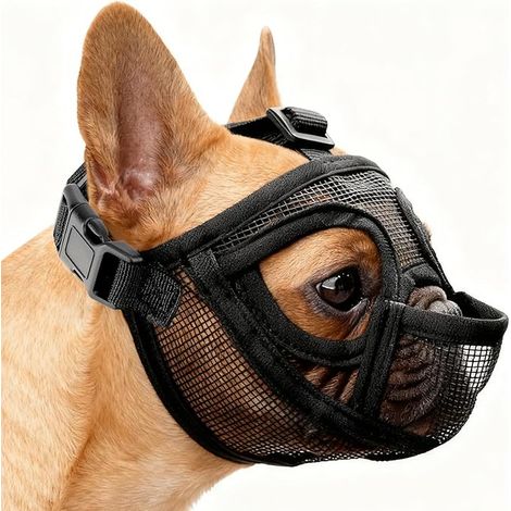 Muselière Chien Bouledogue Français, Muselière pour Bouledogue, Muselière Bulldog, Muselière pour Chien à Museau Court (M)