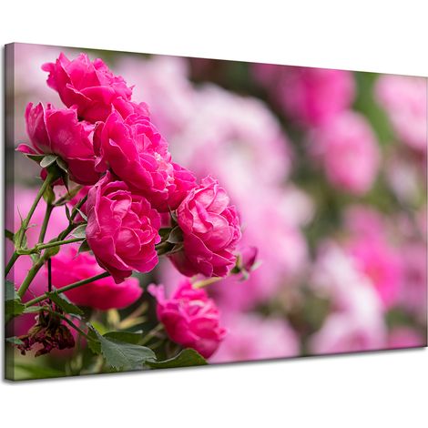 Lienzo impreso Rosas Rosas Botánicas 120x80 cm