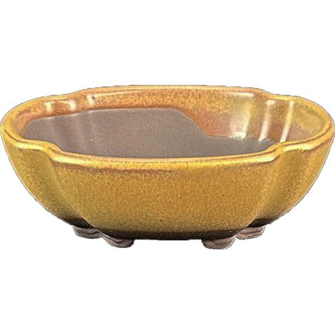 Vaso per bonsai Giapponese Morrisan ovale in gres smaltato giallo senape 9,5x7,5x3 cm - B02-8-11H