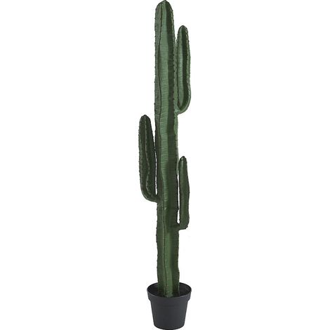 Arbre artificiel cactus - L.26 x P.20 x H.145 cm - Vert - GUADA (1/5)