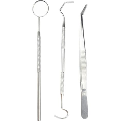 Cure-dents En Acier Inoxydable - Ensemble Portable Pour Pique-nique Camping Et Voyages - 6 Pièces (1/5)