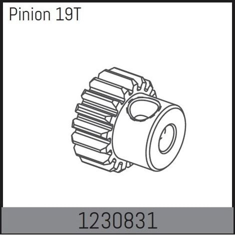 Motor Pinion 19T