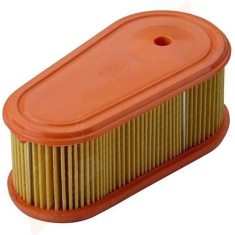 Filtre à air pour BRIGGS & STRATTON 795066 pour DOV 850