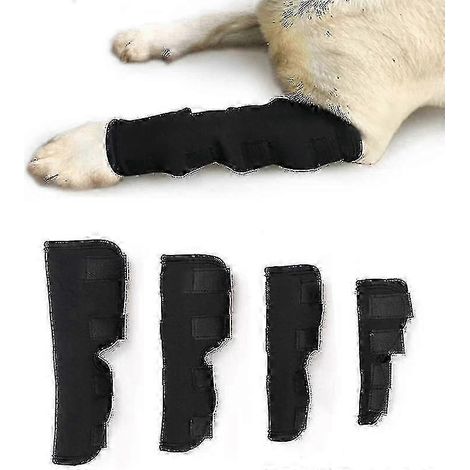 1 attelle de protection articulaire pour chien de race rhénane, avec compression et soutien. (1/5)