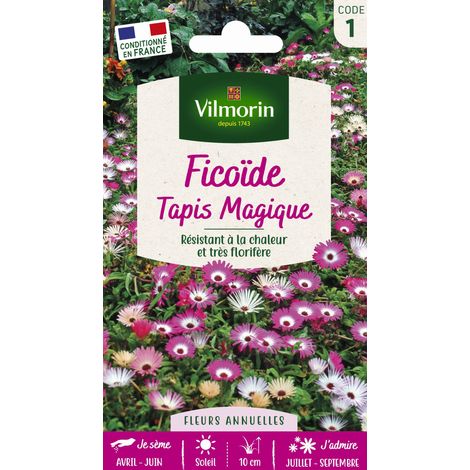Vilmorin – Ficoïde tapis magique – Graines de fleurs – Période de semis : printemps – Exposition : plein soleil – Couleur : blanc à violet