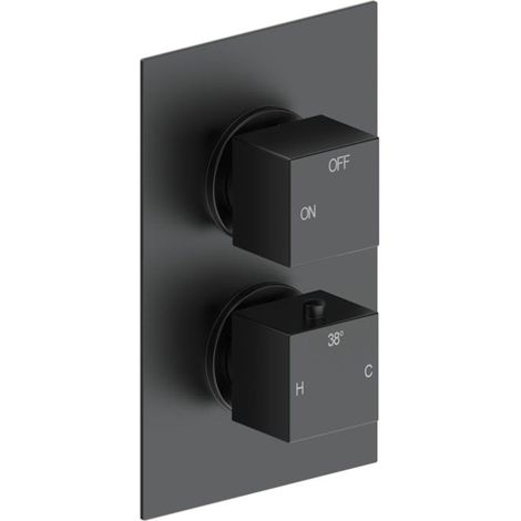 Signature React Thermostatic 1 Outlet Concealed Shower Valve Dual Handle - Matt Black (1/2)