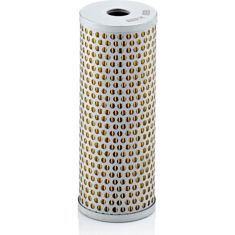 Filtro servosterzo Iveco Stralis (1/2)