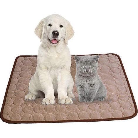 Tapis rafraîchissant pour animaux - Tapis rafraîchissant en soie froide pour chiens et chats, couvertures portables lavables pour l'extérieur, sièges de voiture, lits, etc. - Couleur : Café - M (1/5)