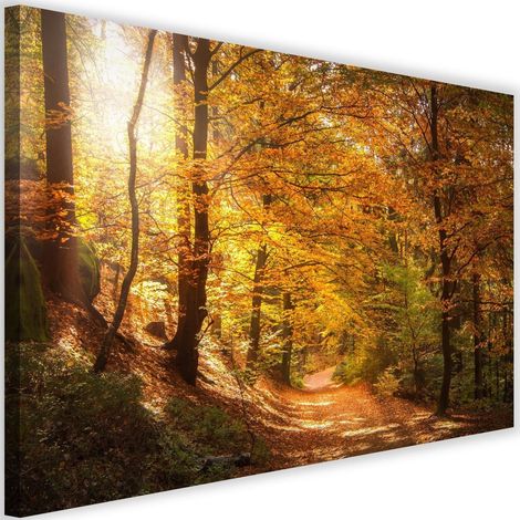 Tableau sur toile Forêt Automne Paysage Nature 60x40 (1/5)