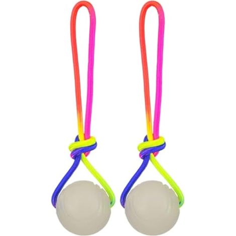 Balle Rebondissante pour Chien 2 Balles Lumineuses Dentaires avec Picots Balle Interactive avec Sangle pour Chien pour Chiots et Chiens de Toutes Tailles Stimulation Mentale Enrichissement Intér (1/5)