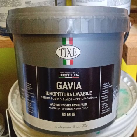 GAVIA LAVABILE ANTIMUFFA 04 LT