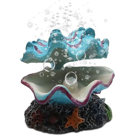 Décoration coquillage pour aquarium, palourde tropicale vivante, pour l'aération et l'oxygénation de l'aquarium (1/5)
