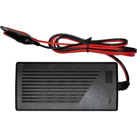 Caricatore per ebike e  pacchi Li-ion  Li-Poly 36V 1,5A