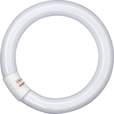 Osram Lumilux T9 22W Sockel G10Q 6500K dimmbar Ringleuchte (1/3)
