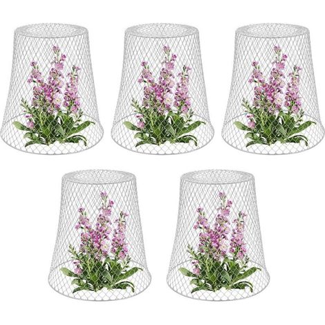 Cloche De Jardin - Fil De Fer Galvanisé Revêtu De Poudre - Pour Protection Plantes Extérieure - Lot De 5 - Hauteur 23 Cm (1/5)