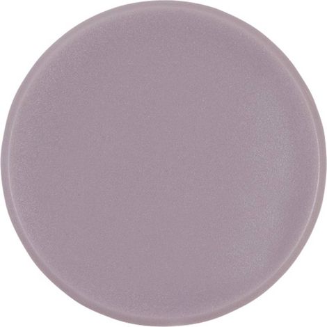 magnetoplan Aimant Basic Serie (Ø) 38 mm rond gris 10 pc(s) 1863801