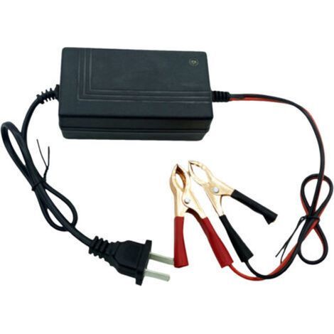 Chargeur portable de batterie 12V pour camions, mini-bateaux à faible courant et motos (1/5)