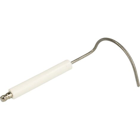 Electrode d'ionisation