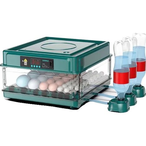 Incubateur automatique, capacité 36 œufs, pour œufs de volaille, 220V, pour l'incubation à domicile et l'élevage contrôlé de volailles.-AquaForge