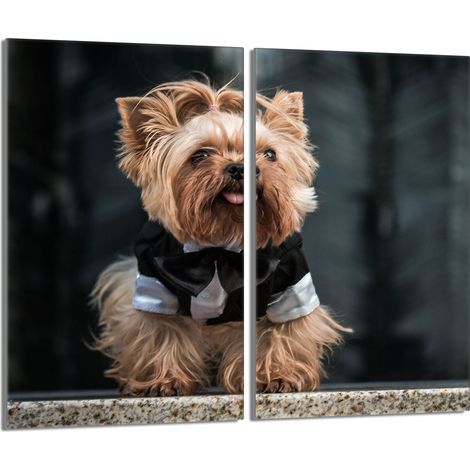 Placa protectora de vidrio para la estufa 2x30x52 Perro (1/5)