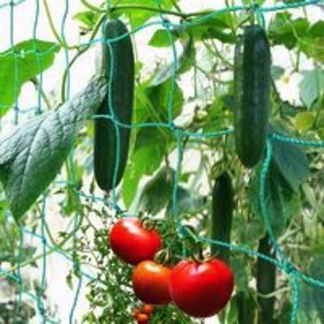 Filet à ramer maillage large 1.8 x 2.7 m – Polyéthylène robuste – Pour récolte de concombres, tomates et plantes grimpantes (1/5)