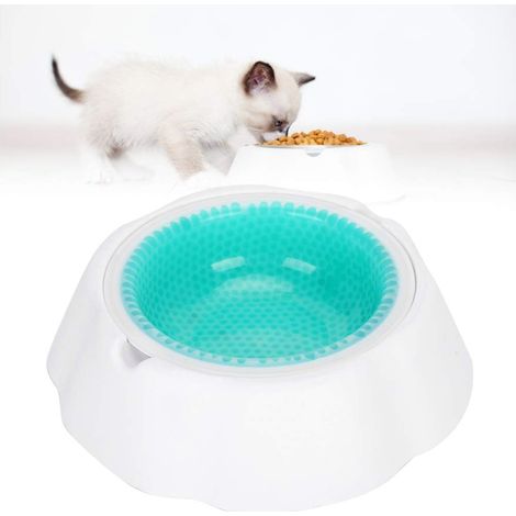 QAZQA 17 Cm/6.6in Eau de Refroidissement Bols à Boire Chien Chat Animal de Compagnie Vert Givré Bol Eau Réfrigérée Bol d'alimentation,Vert (1/5)