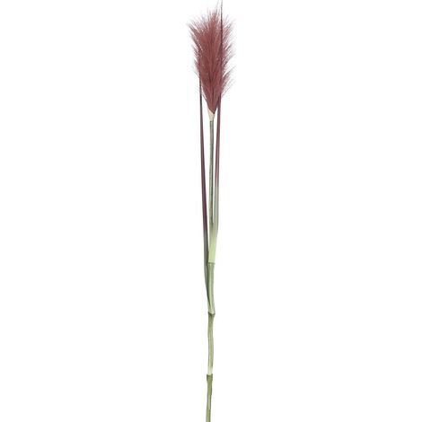 Mica Federgras rot 72 x 10 cm Ast, Stängel & Zweig