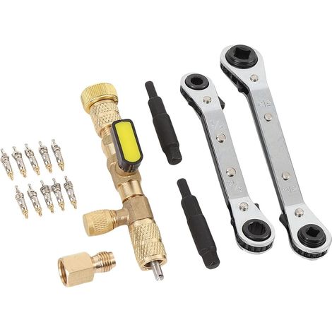 Extracteur de Noyau de Valve, Outil Robuste et Efficace pour Système CVC avec 2 Clés à Cliquet, 10 Noyaux, 2 Adaptateurs de Tige pour équipement de Réfrigération Domestique, Acier (1/5)