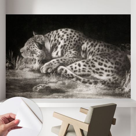 Papier peint adhésif décoratif avec colle pour salon chambre et bureau Installation rapide Le repos du léopard 104x70 cm (1/5)