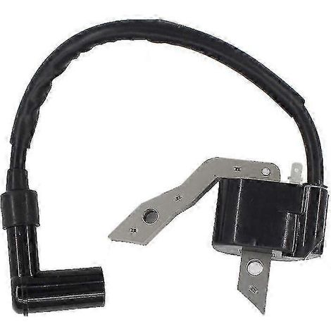Module de bobine d'allumage pour Robin EX27 EX30, remplace 279-79430-01 (1/5)