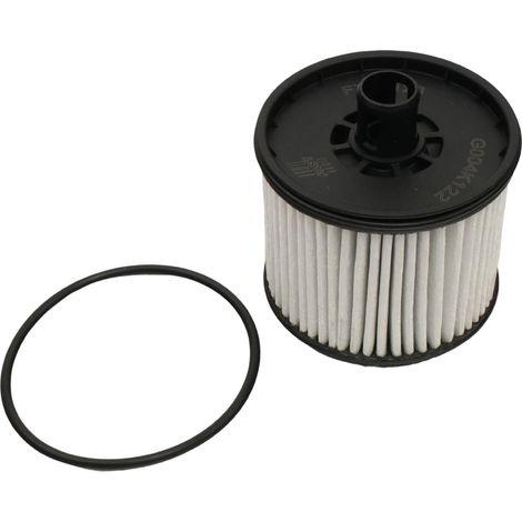 Filtre à carburant rapide FT39123 (1/4)