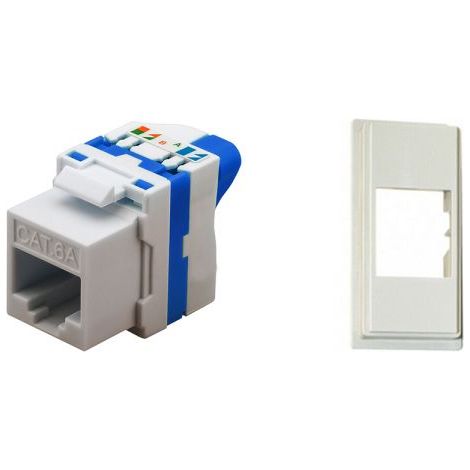 TechLy presa di rete RJ45 UTP CAT.6a tooless + Now sabbia