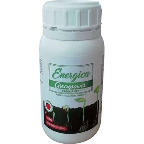 RADICANTE POLVERE ENERGICA - GR 100 - 12 pezzi