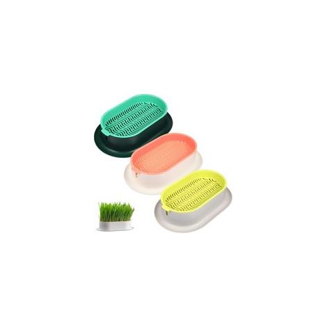 Lot De 3 Bacs à Plantes pour Herbe à Chat, Hydroponiques pour Chat Et Chien en Polypropylène, Croissance d'herbe à Chat (1/5)