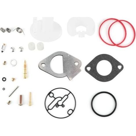 Kit de réparation carburateur pour moteurs Briggs & Stratton 796184 796081 790727 – Installation simple – Inclus joints et pièces nécessaires (1/5)