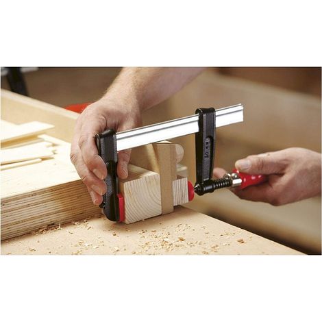 Bessey Sargento de fundición maleable 300 x 80 mm TPN30B8BE